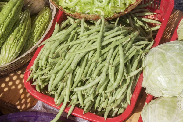 Haricots verts — Photo