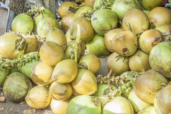 Green coconuts — Stock Photo, Image