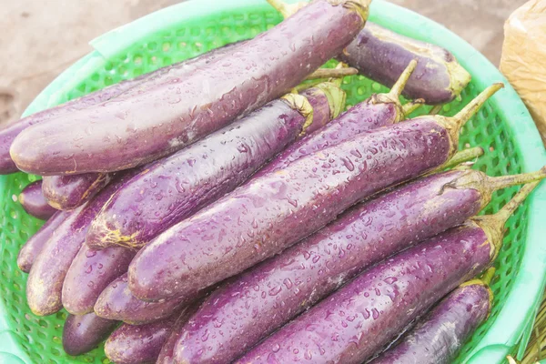 Aubergine — Stock Photo, Image