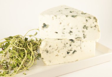 Bluecheese