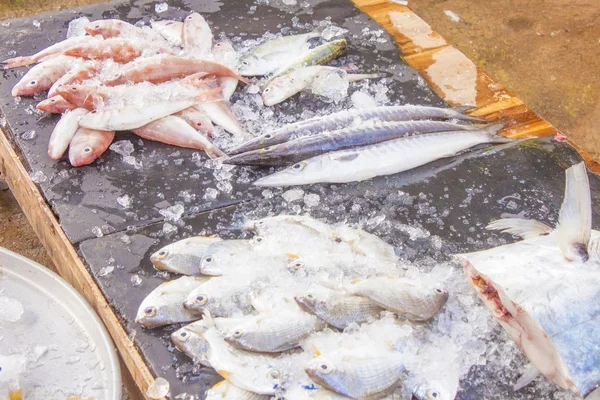 Pesce al mercato — Foto Stock