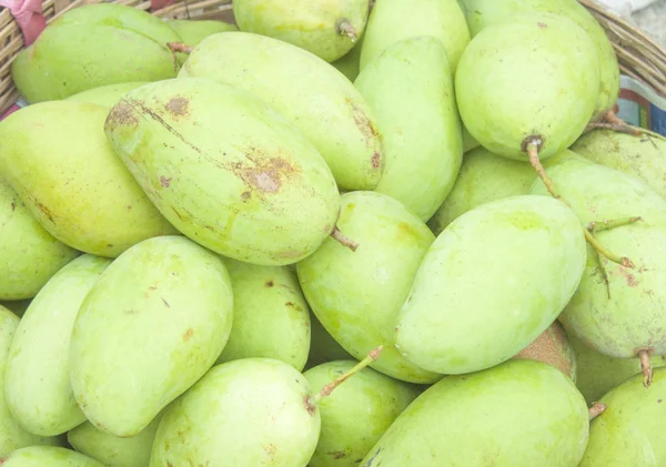 Green papaya — Stock Photo, Image