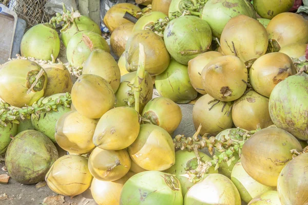 Cocos verdes — Fotografia de Stock