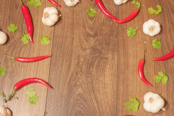 Chili, vitlök och koriander bakgrund — Stockfoto