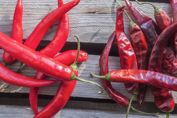 Torkade och färska chili — Stockfoto