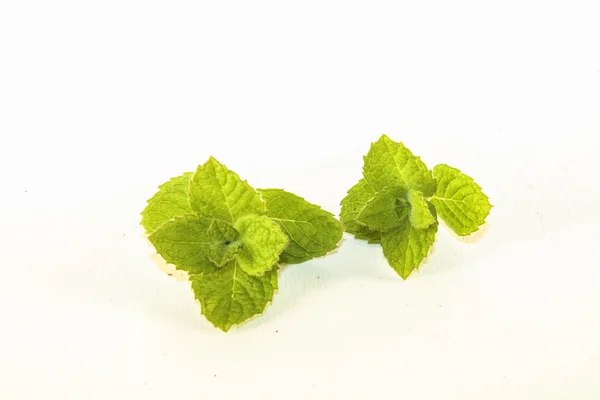 Mint — Stok Foto