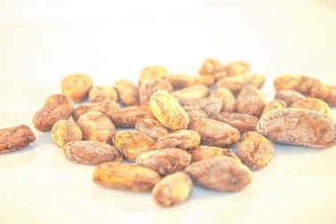kakao çekirdekleri