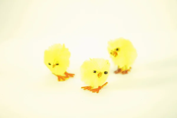 Easter chicken — Stock Photo, Image