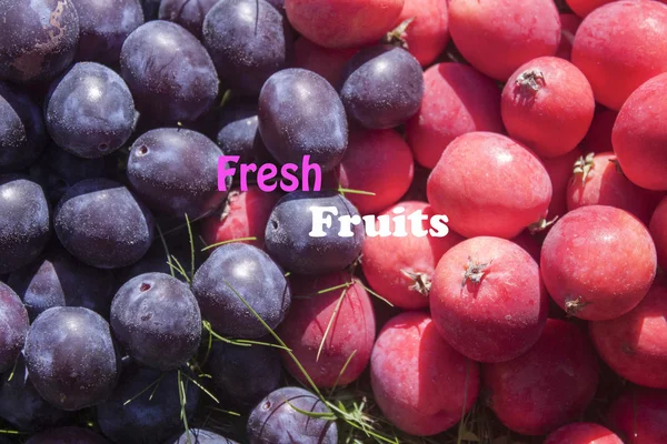 Čerstvé ovoce text — Stock fotografie