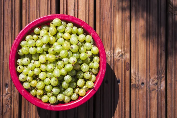 Scatola di uva spina — Foto Stock