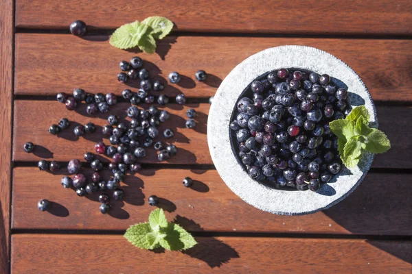 Blueberries in a stone bowl — Stock Photo, Image