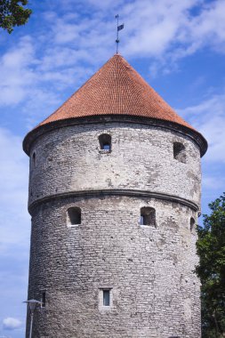 Orta yaş kale tallin