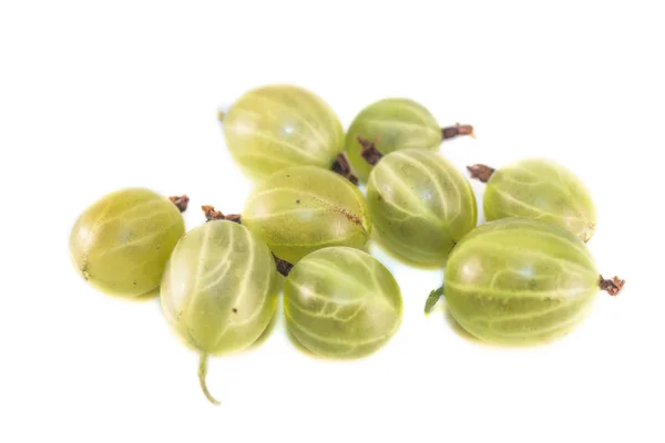 Ribes uva-crispa isoliert — Stockfoto