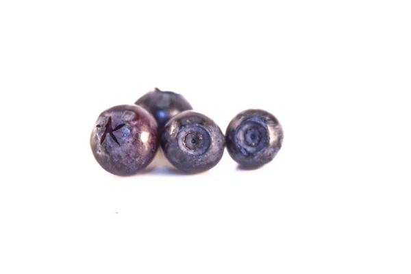 Два разных вида черники: Vaccinium myrtillus и vaccinium corymbosum — стоковое фото