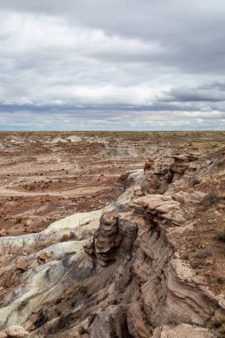 Arizona 'daki Boyalı Çöl' ün engin manzarasına bakıyorum.