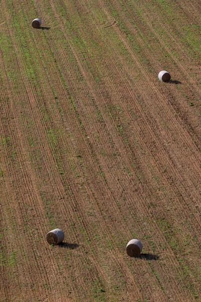 Looking Hay Bales Field Sussex Late Summer Sunshine — Stock Photo, Image