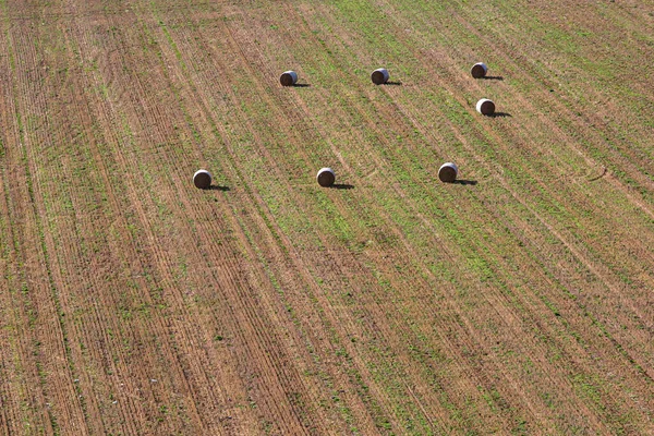 Blick Auf Heuballen Auf Einem Feld Sussex Der Spätsommersonne — Stockfoto