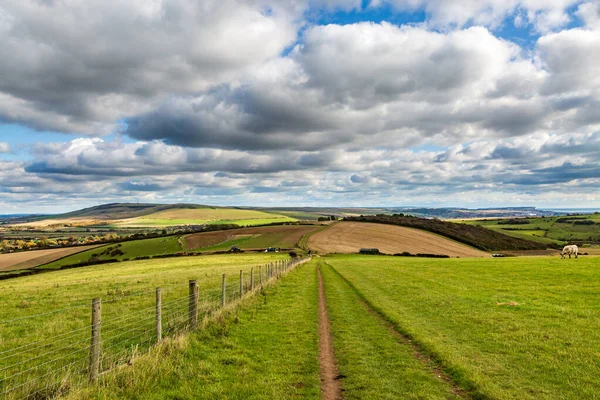 View South Downs Way Sussex Autumn Day — Stock Photo, Image