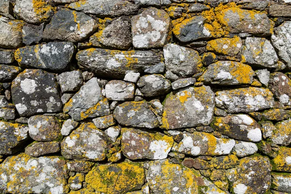 Egy Viharvert Öreg Kőfal Hebridák Szigetén Dél Uisztban — Stock Fotó