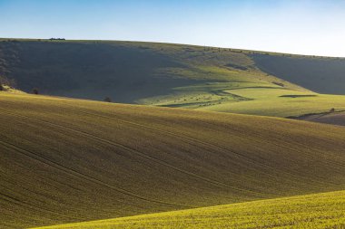 Güneşli bir kış gününde Güney Downs 'da yeşil bir manzara.