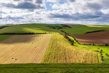 Sussex 'teki South Downs Yolu' ndan görülebilen bir tarım arazisi manzarası