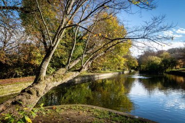 Lewes 'ta Pells' in güneşli bir sonbahar günü manzarası.