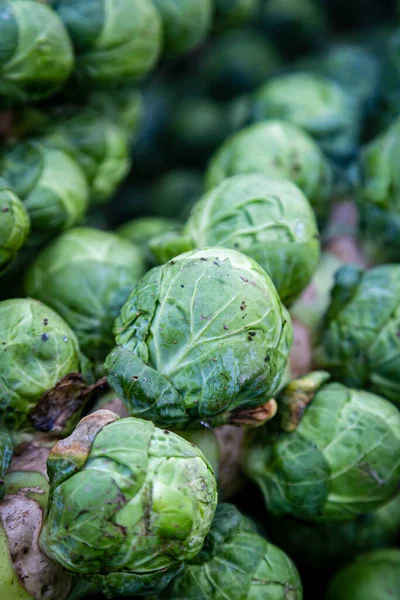 Sprouts Stalk Sale Farmers Market Stall — Stock Photo, Image