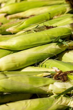 Market tezgahında satılık mısır.