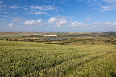 Yazın Sussex 'teki Piddinghoe yakınlarındaki tarım arazisi manzarası