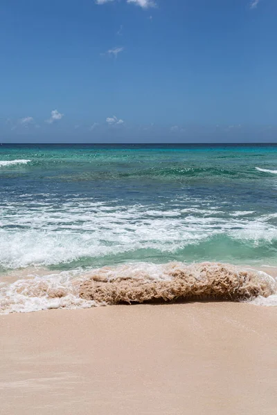 Vlny Olizující Písečnou Pláž Ostrově Barbados — Stock fotografie