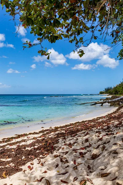 Uma Vista Uma Praia Ilha Caribenha Barbados — Fotografia de Stock