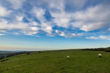 Güney Downs yolu boyunca sabah ışığı ve ince bulutlar Sussex 'teki Ditchling Beacon' da