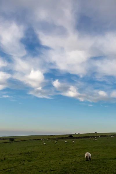 Morning Light Wispy Clouds South Downs Way Ditchling Beacon Sussex — Stock Photo, Image