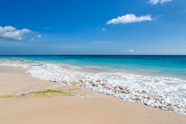 Mirando Hacia Océano Elbow Beach Isla Bermudas — Foto de Stock