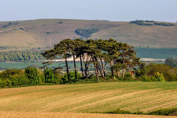 Une Vue Sur South Downs Par Une Journée Ensoleillée Printemps — Photo