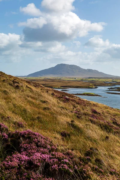 Vue Sur Loch Langais Sur Île Hébridienne North Uist Par — Photo