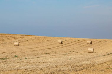 Güneşli bir yaz sabahında Wight Adası kırsalında saman balyaları