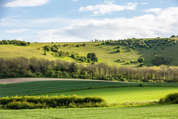 Green South Downs Landscape Sunny Day — Stock Photo, Image