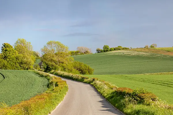 Country Road Rural Sussex Farmland Surrounding — Stock Photo, Image