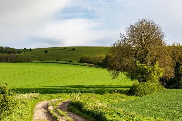 Terreni Agricoli Nel Sussex Una Giornata Primaverile — Foto Stock