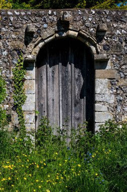 Önünde kır çiçekleri büyüyen eski ahşap bir kapı ve taş bir duvar.