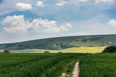 Bir bahar günü Sussex 'te tarlalardan geçen bir patika.