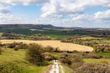 Firle Beacon 'a doğru giden tebeşirli bir yola bakıyorum.