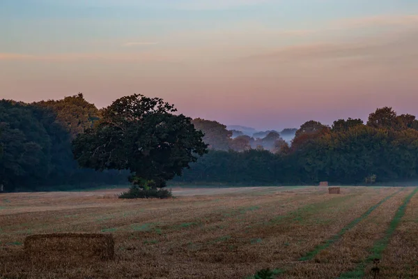Looking Out Rural Sussex Landscape Early Morning Mist September — Stock Photo, Image