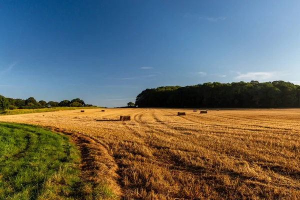 Balle Fieno Nella Campagna Del Sussex Una Mattina Settembre Soleggiata — Foto Stock