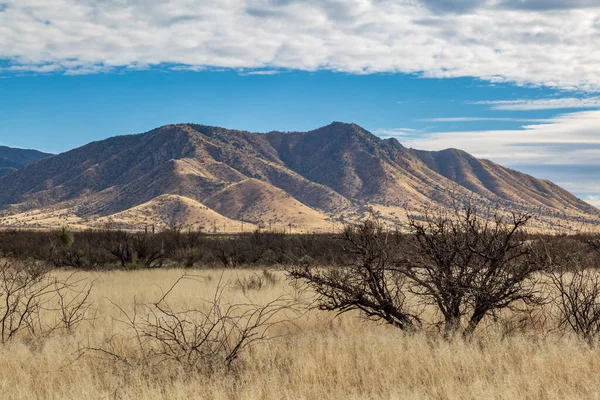 Neplodný Pohled Poušť Arizona — Stock fotografie