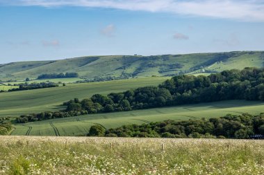 A view over fields and hills in the South Downs, with a blue sky overhead