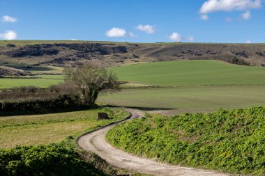A rural South Downs farm landscape on a sunny March day