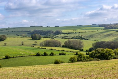 Güneşli bir bahar gününde güzel bir South Downs manzarası