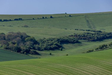 South Downs 'da yeşil bir bahar çiftliği.
